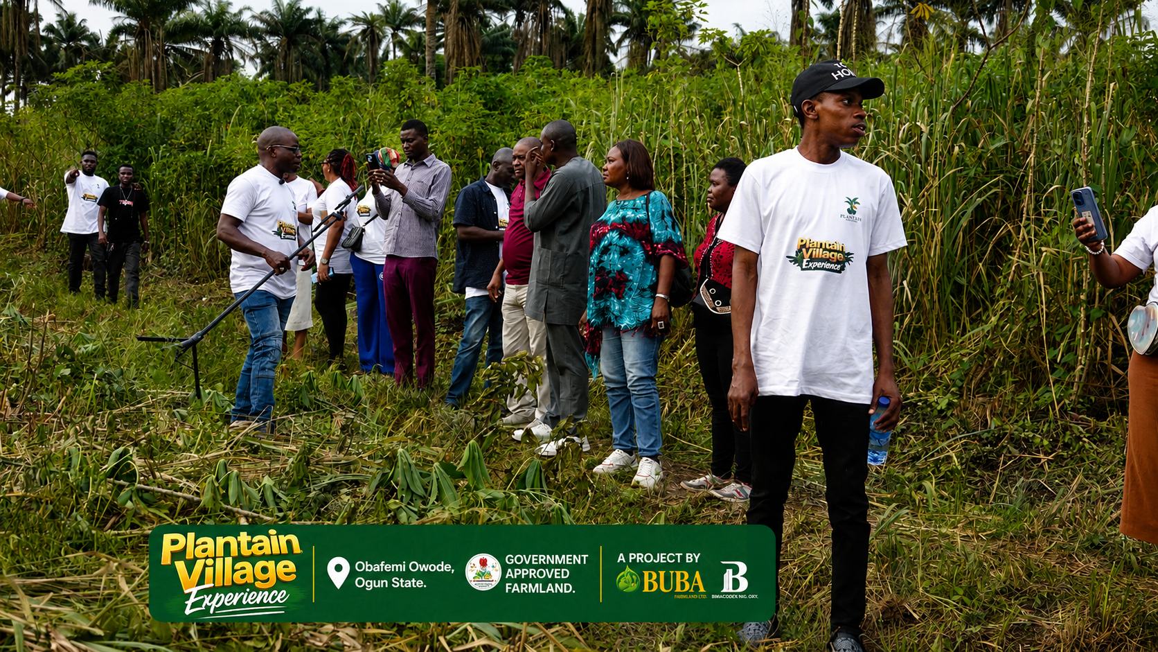 Plantain Tour Image
